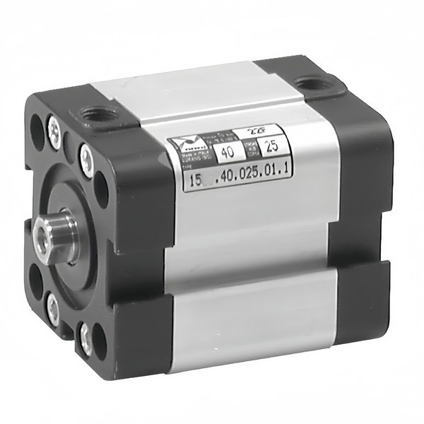 Кликните для увеличения изображения Пневмоцилиндр Pneumax компактный 1572.32.0010.01.1