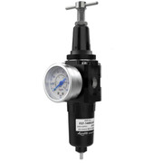F37-34-10NGS1R021 PRIMOFLO Фильтр-регулятор для низких температур