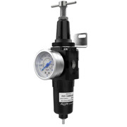 F37-11-10GS1R021 PRIMOFLO Фильтр-регулятор для низких температур