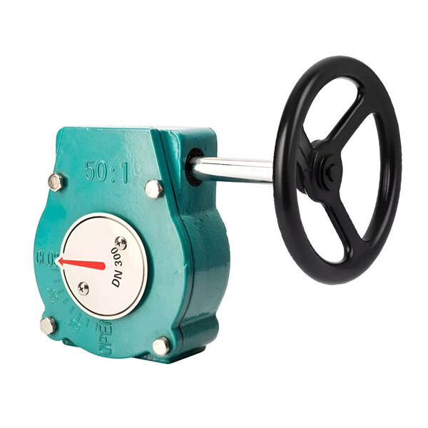 Редуктор Pemaks CVGB 80:1 чугун Convalve