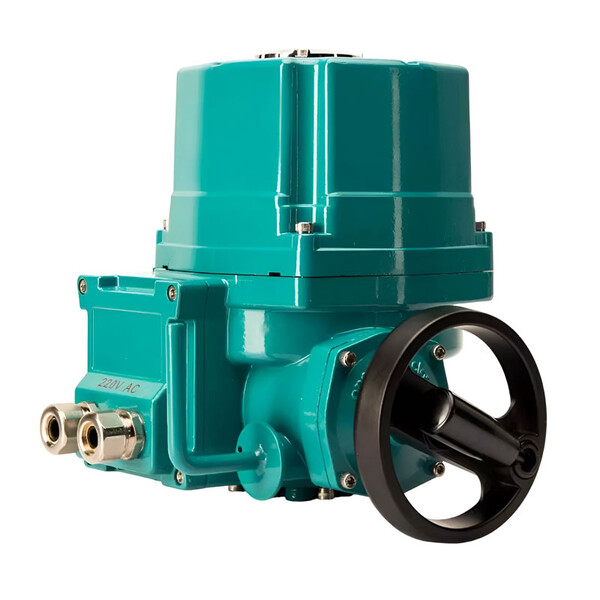Электропривод Pemaks EAC2-A-020 (220V AC)